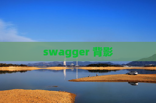 swagger 背影 swagger 背影